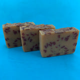 Cranberry Spice Soap